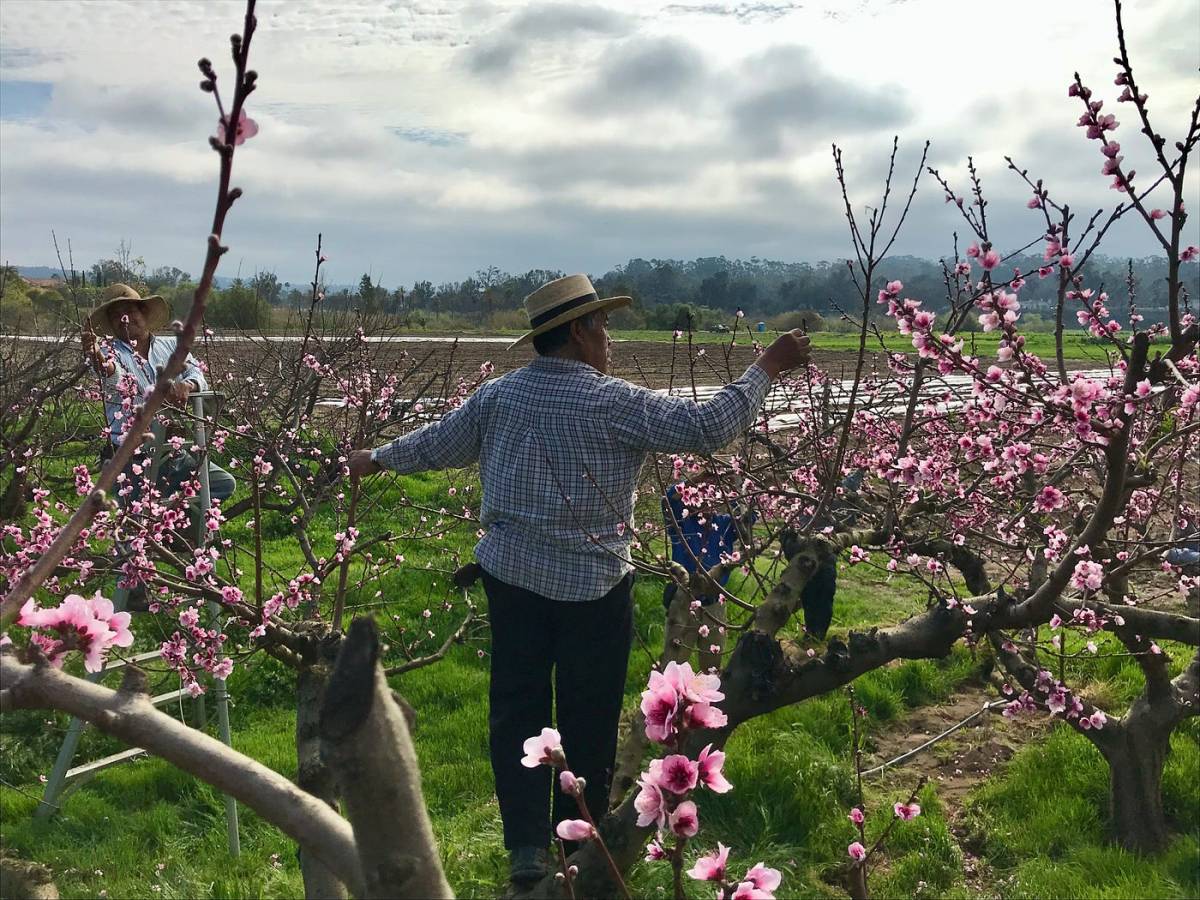 DIY or Ghost: Do You Have What it Takes to Write Your&nbsp;Book?